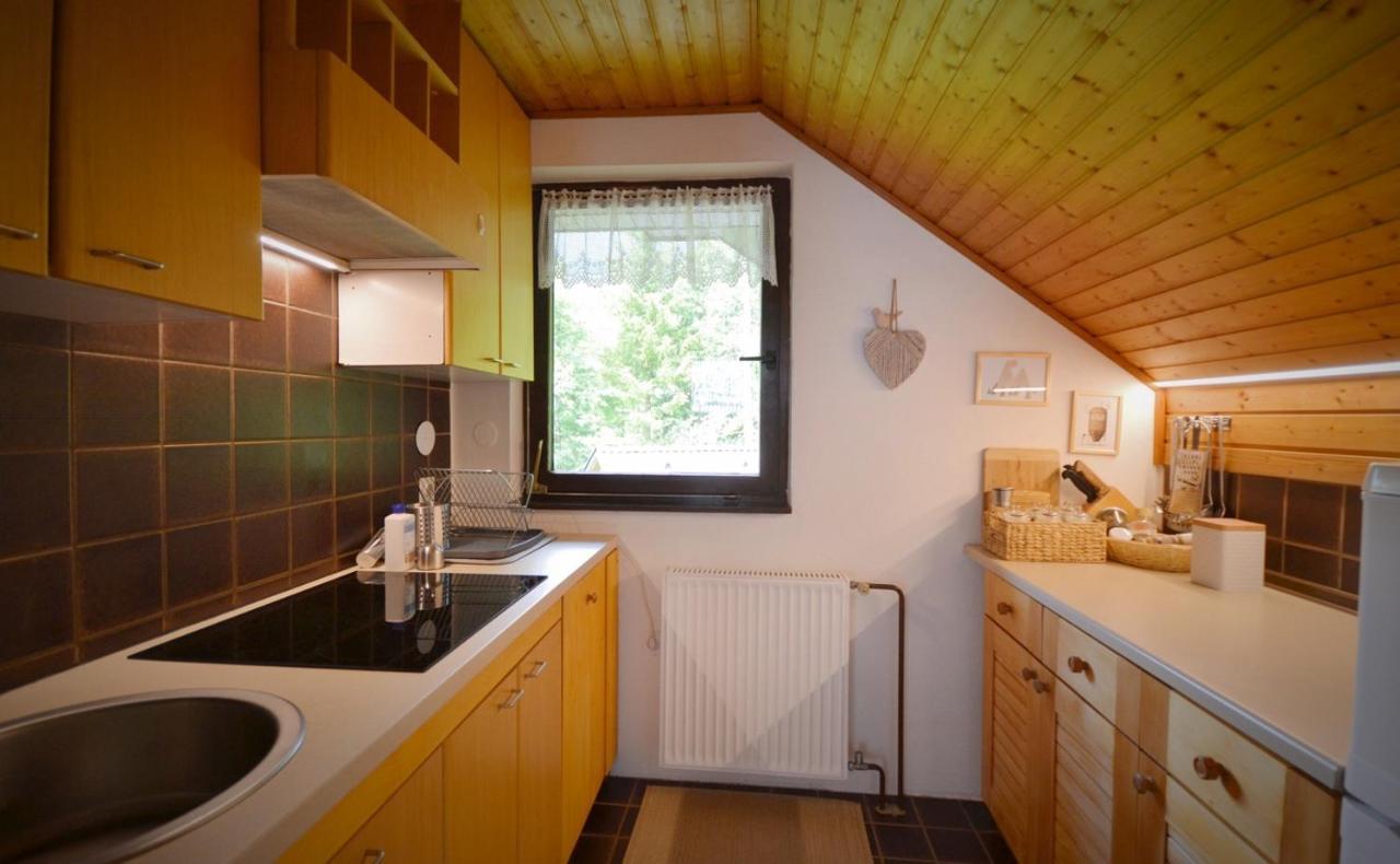 Apartma Zidan クランスカゴーラ エクステリア 写真